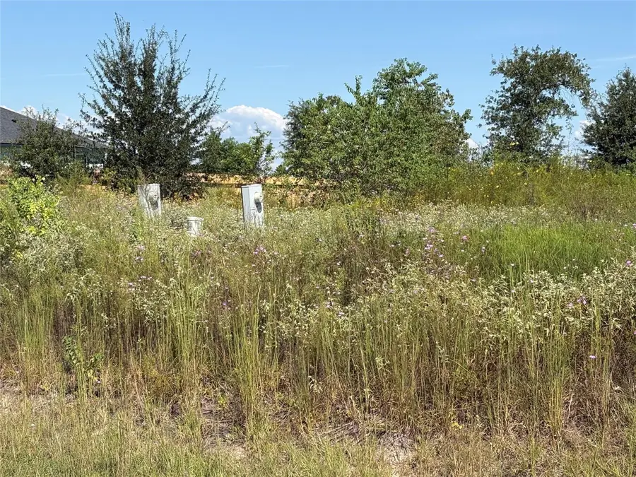 1256 Road 5606, Cleveland, TX 77327 - #2