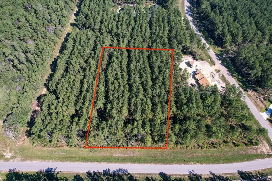 15336 Red Hawk Road, Willis, TX 77378 - #3