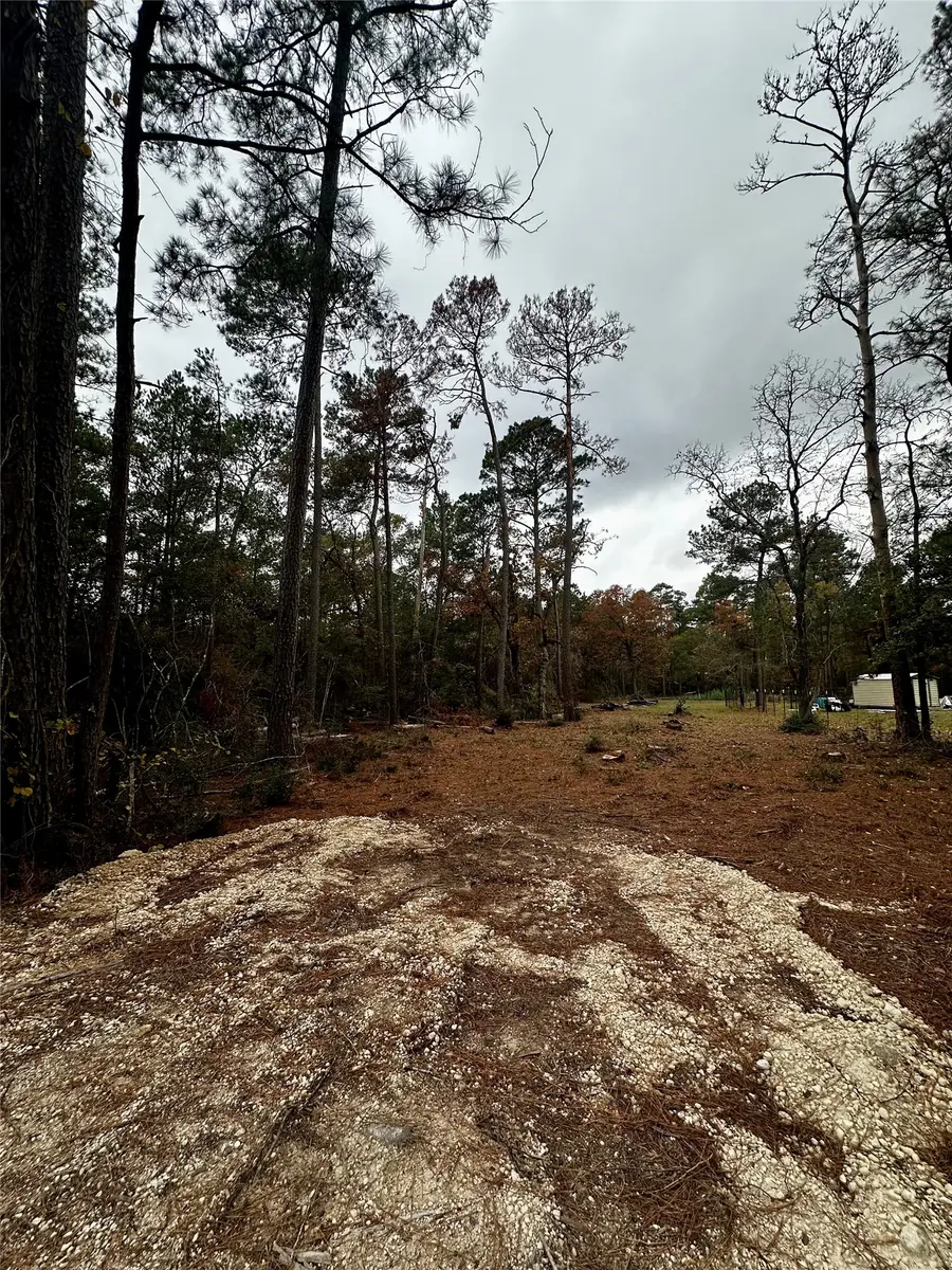 15172 Cherry Laurel Lane, Navasota, TX 77868 - #3