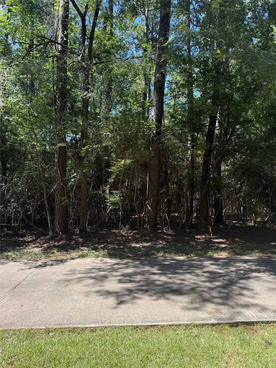 N Fm 350 Pebble Creek, Livingston, TX 77351 - #2