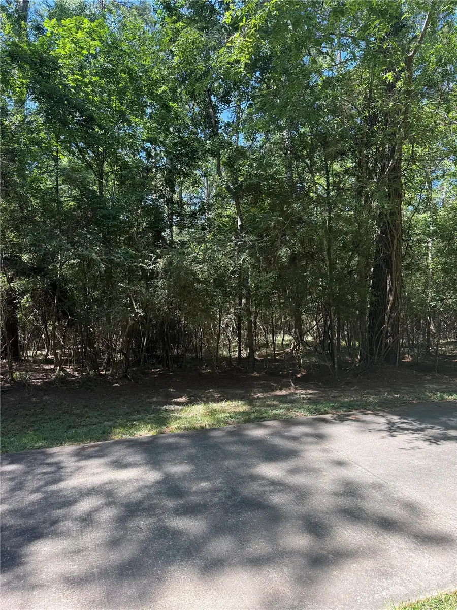 N Fm 350 Pebble Creek, Livingston, TX 77351 - #3