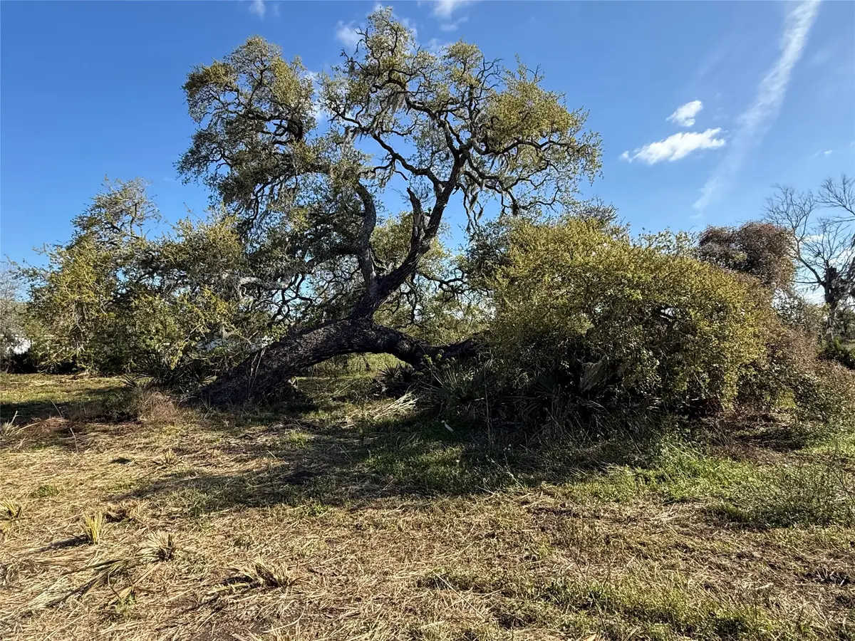 0 County Road 319, Brazoria, TX 77422 - #1