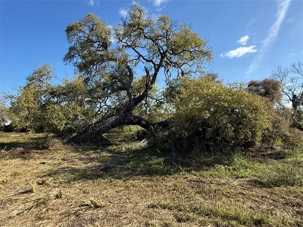 0 County Road 319, Brazoria, TX 77422