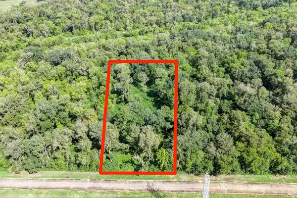 248 Middle Bayou Trail, Angleton, TX 77515