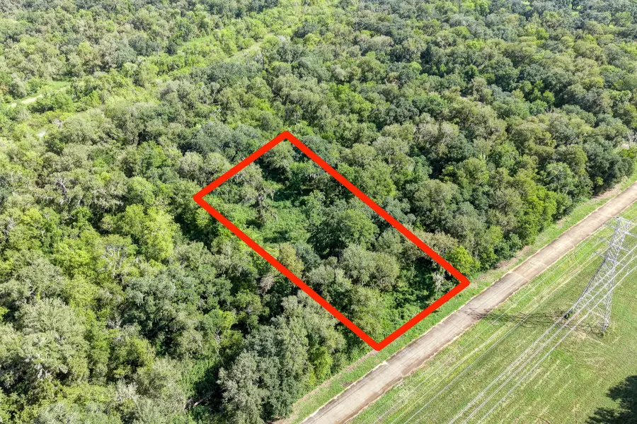 248 Middle Bayou Trail, Angleton, TX 77515 - #2