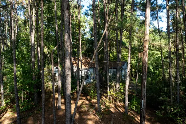 TBD County Road 4090, Lovelady, TX 75851