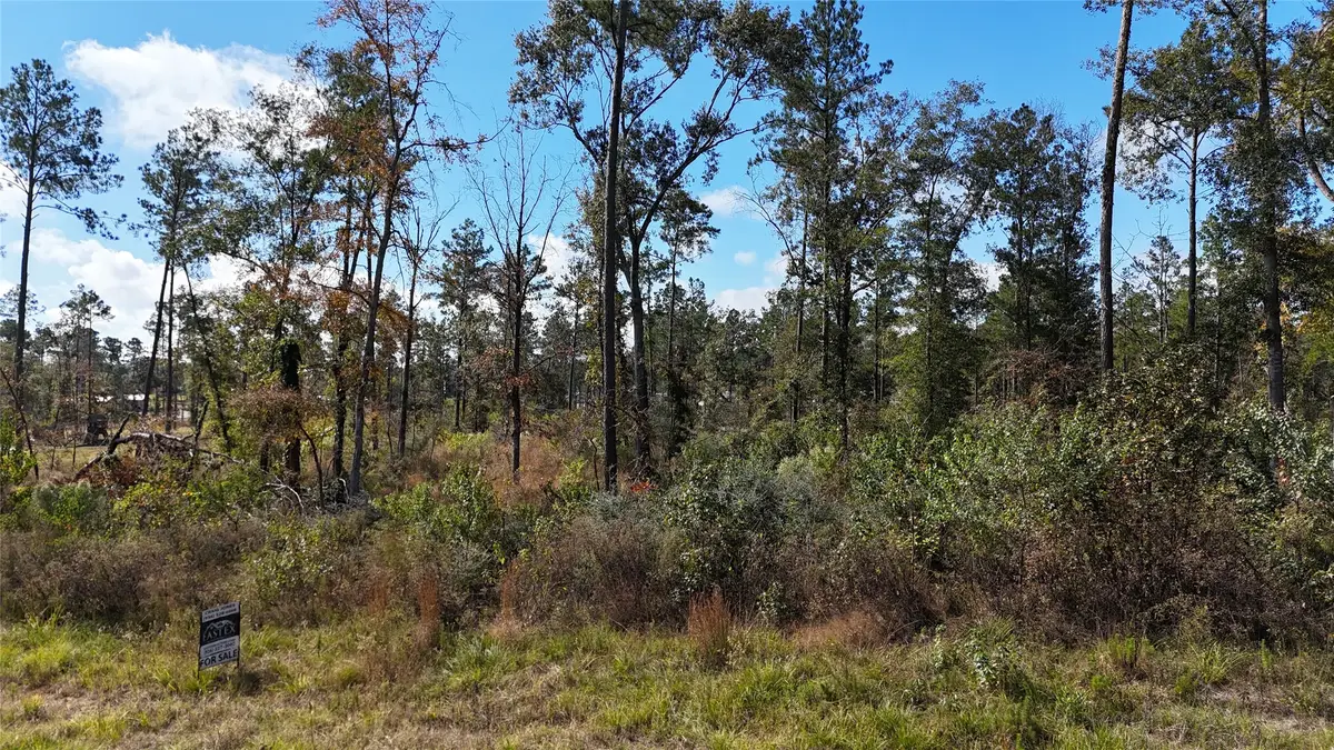 TBD 7 Reveille Road, Livingston, TX 77351 - #1