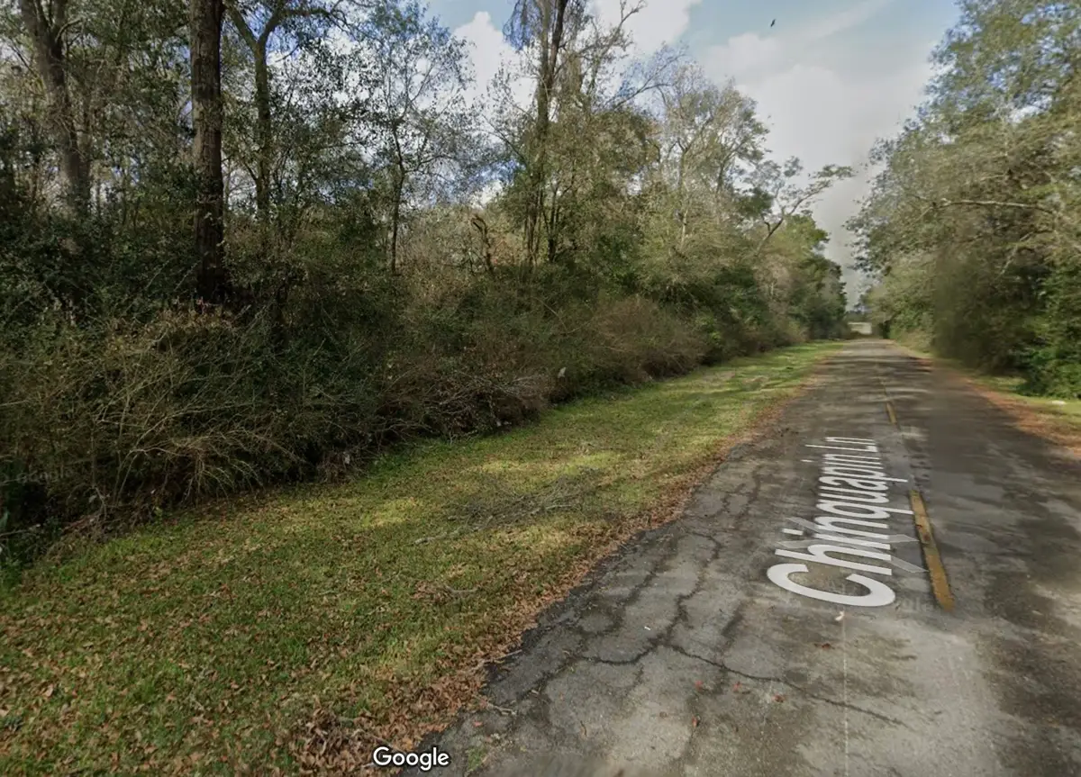 0 Chinquapin Lane, New Caney, TX 77357 - #1