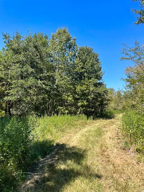 8881 Fm 356, Trinity, TX 75862 - #1