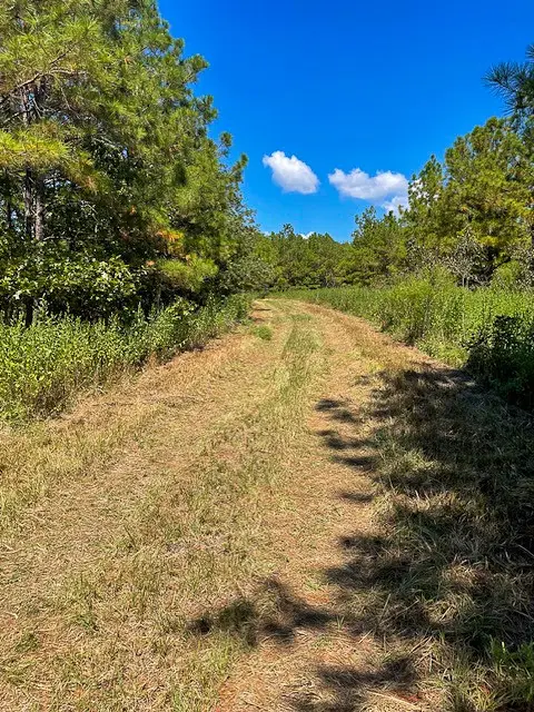 8881 Fm 356, Trinity, TX 75862 - #2