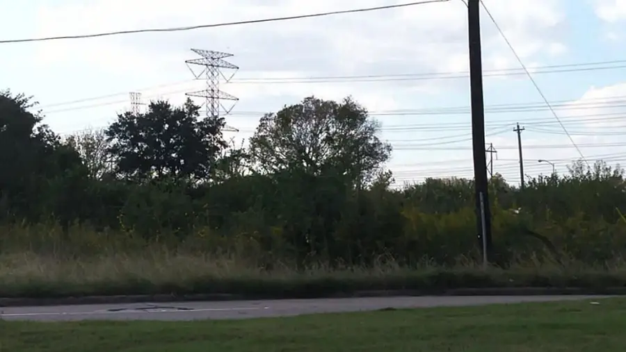 0 W Orem Drive, Houston, TX 77085 - Image #2