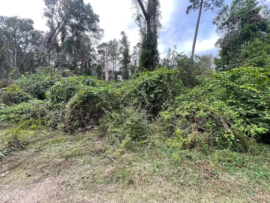 0 Elkfield Lane, Humble, TX 77338 - Image #2