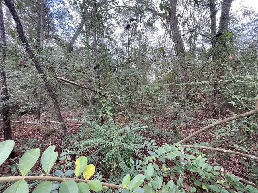 0 Elkfield Lane, Humble, TX 77338 - Image #3