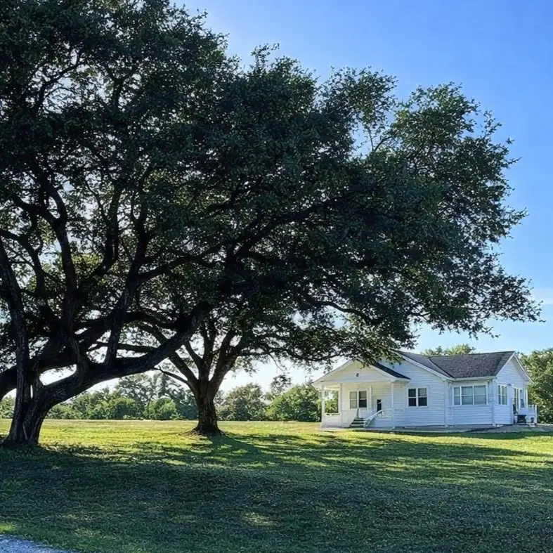 248 County Road 378, Hallettsville, TX 77964 - Image #1