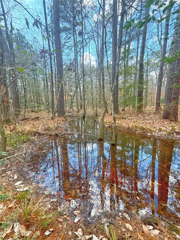 000 Cr 1200, Hemphill, TX 75948