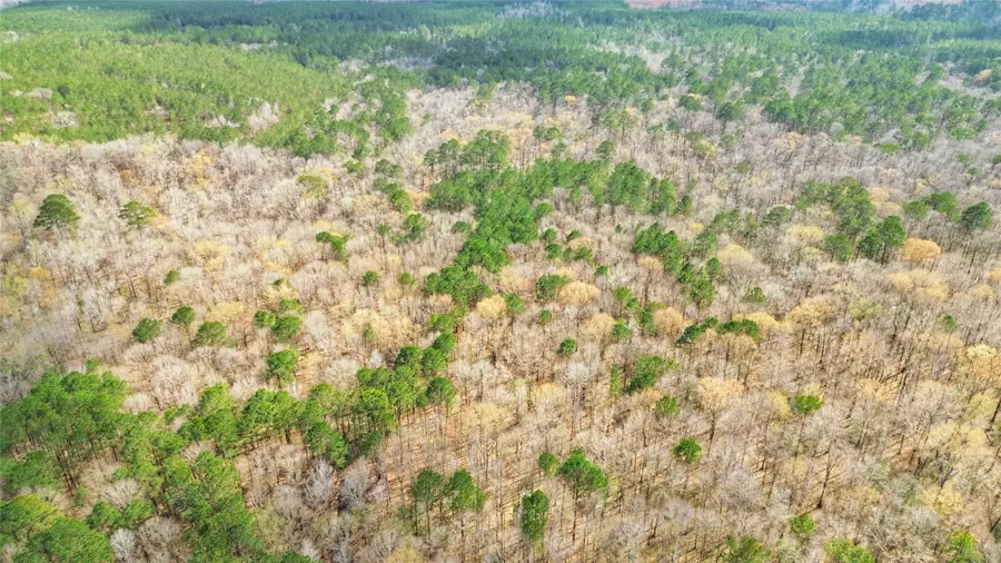 000 Cr 1200, Hemphill, TX 75948 - #2