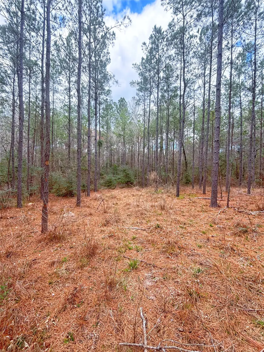 000 Cr 1200, Hemphill, TX 75948 - #3