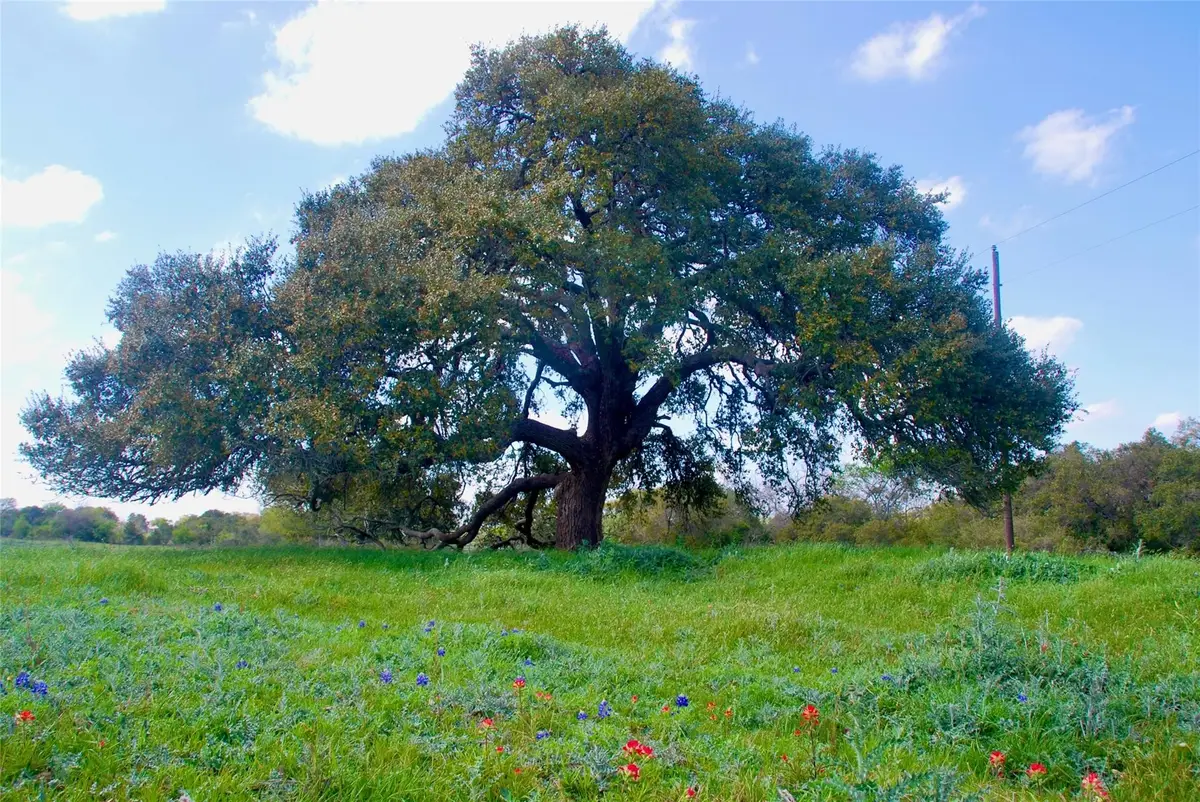 450 County Road 217c, Schulenburg, TX 78956 - Image #1