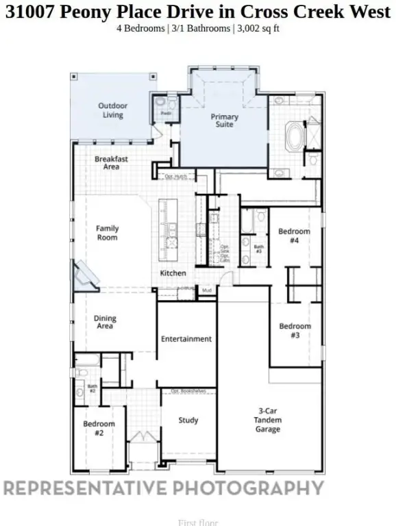 31007 Peony Place Drive, Fulshear, TX 77441 - #2