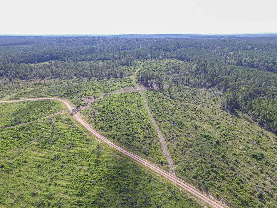 TBD Sandydale, Livingston, TX 77351 - #3