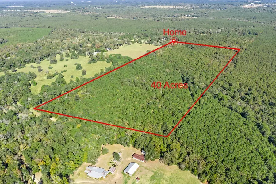 610 Private Road 5130, Woodville, TX 75979 - #2