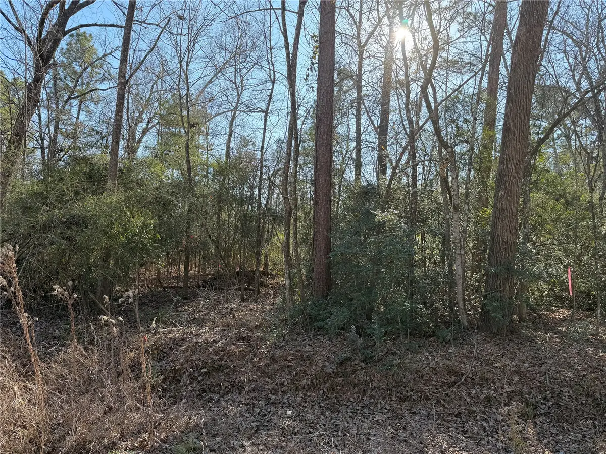 TBD Josh Lane, Trinity, TX 75862 - #1