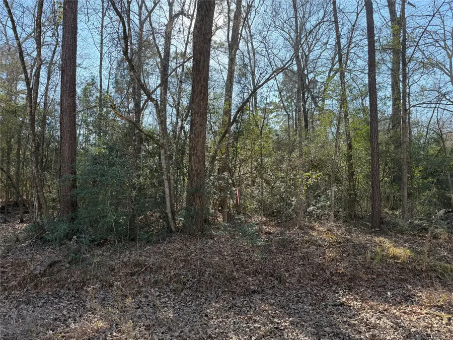 TBD Josh Lane, Trinity, TX 75862 - #2