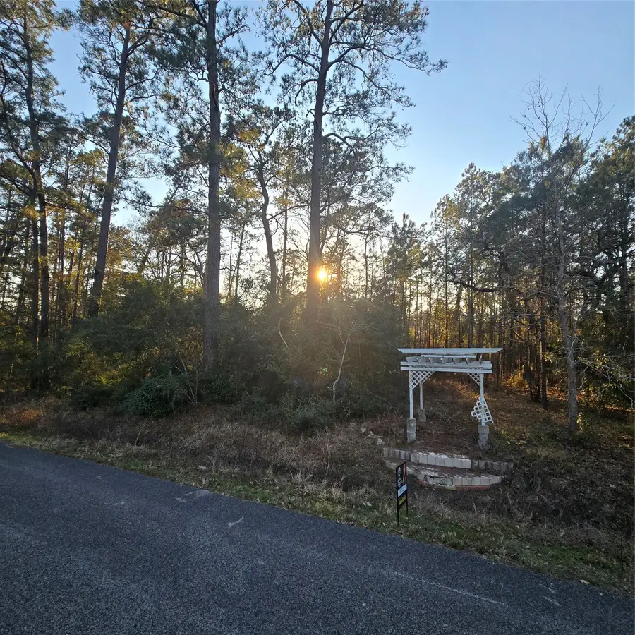 20135 Belleau Wood Drive, Houston, TX 77338 - Image #2