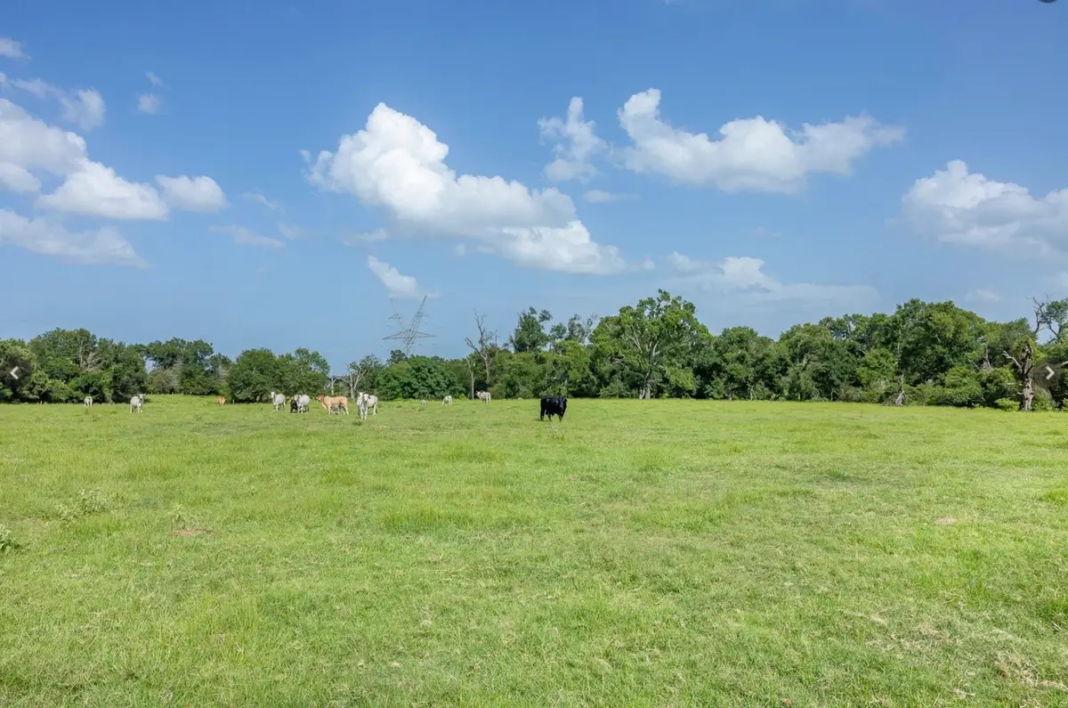 6388 Red Rock Road, Franklin, TX 77856 - #1