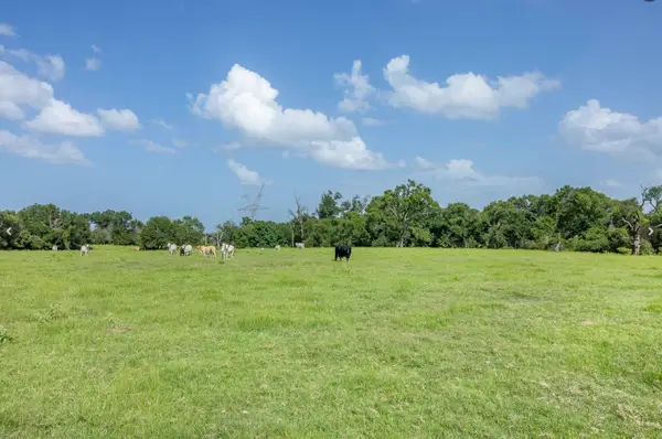 6388 Red Rock Road, Franklin, TX 77856