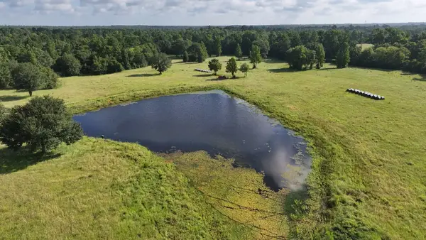 TBD Walker Ln Lane, Huntsville, TX 77320