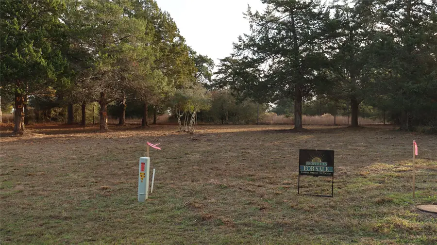 Lot 26 Doral Drive, New Ulm, TX 78950 - #2