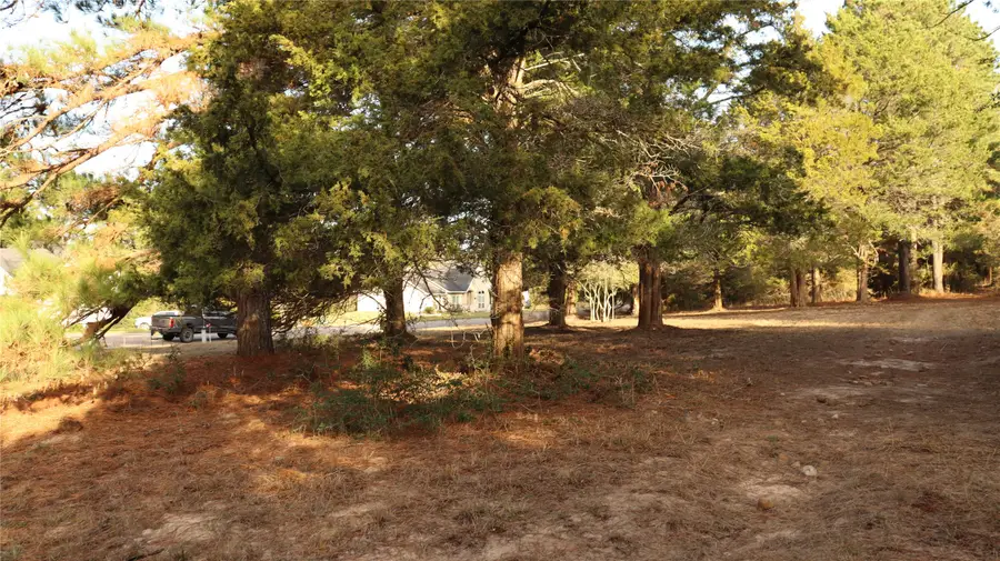 Lot 26 Doral Drive, New Ulm, TX 78950 - #3