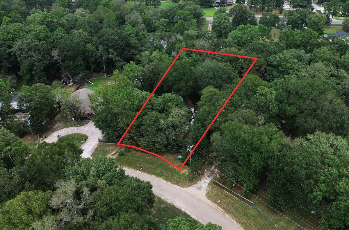 206 Wickdome Drive, Willis, TX 77378 - #1