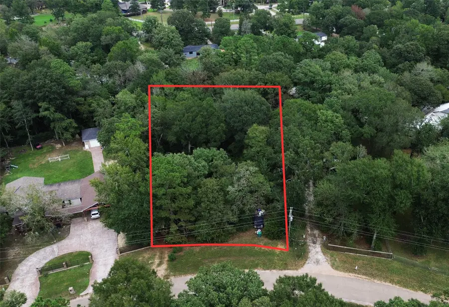 206 Wickdome Drive, Willis, TX 77378 - #2