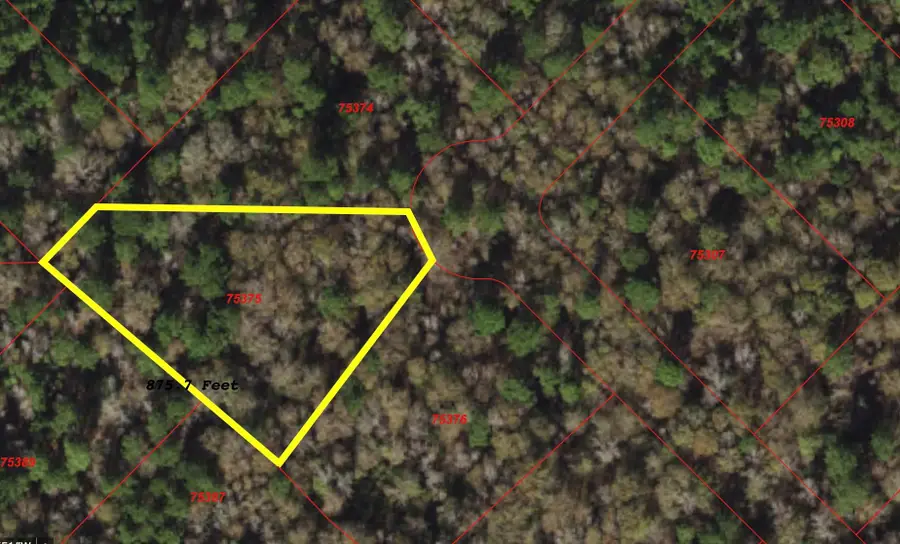 149 Hollow Hill Drive, New Waverly, TX 77340 - #2