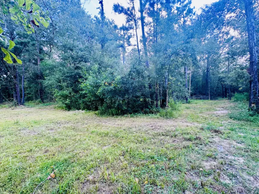 702 County Road 2339, Dayton, TX 77535 - #2
