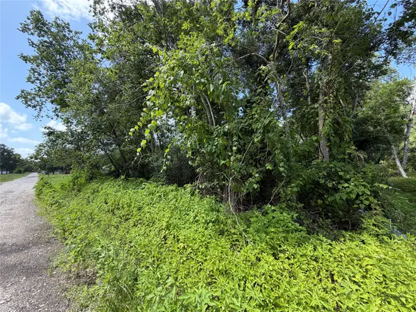 Lot 97 Lost Forest Drive, Guy, TX 77444