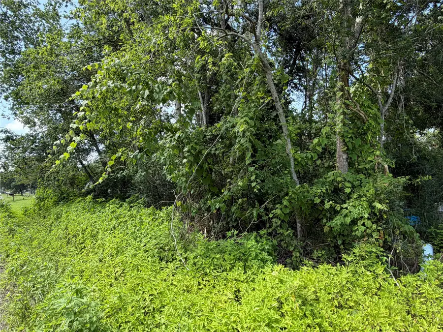Lot 97 Lost Forest Drive, Guy, TX 77444 - #2