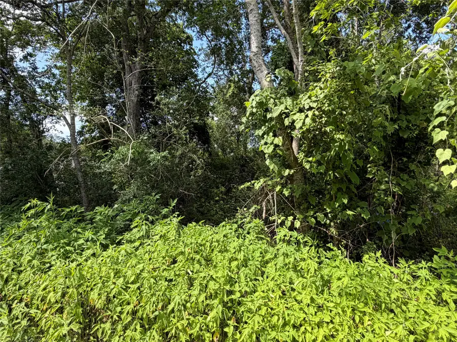 Lot 97 Lost Forest Drive, Guy, TX 77444 - #3