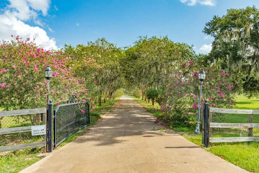 2418 Majestic Oaks Court, Rosharon, TX 77583 - #3