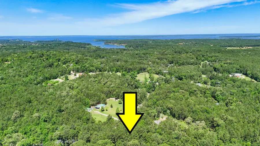 00 Grey Fox Ln, Brookeland, TX 75931 - Image #2