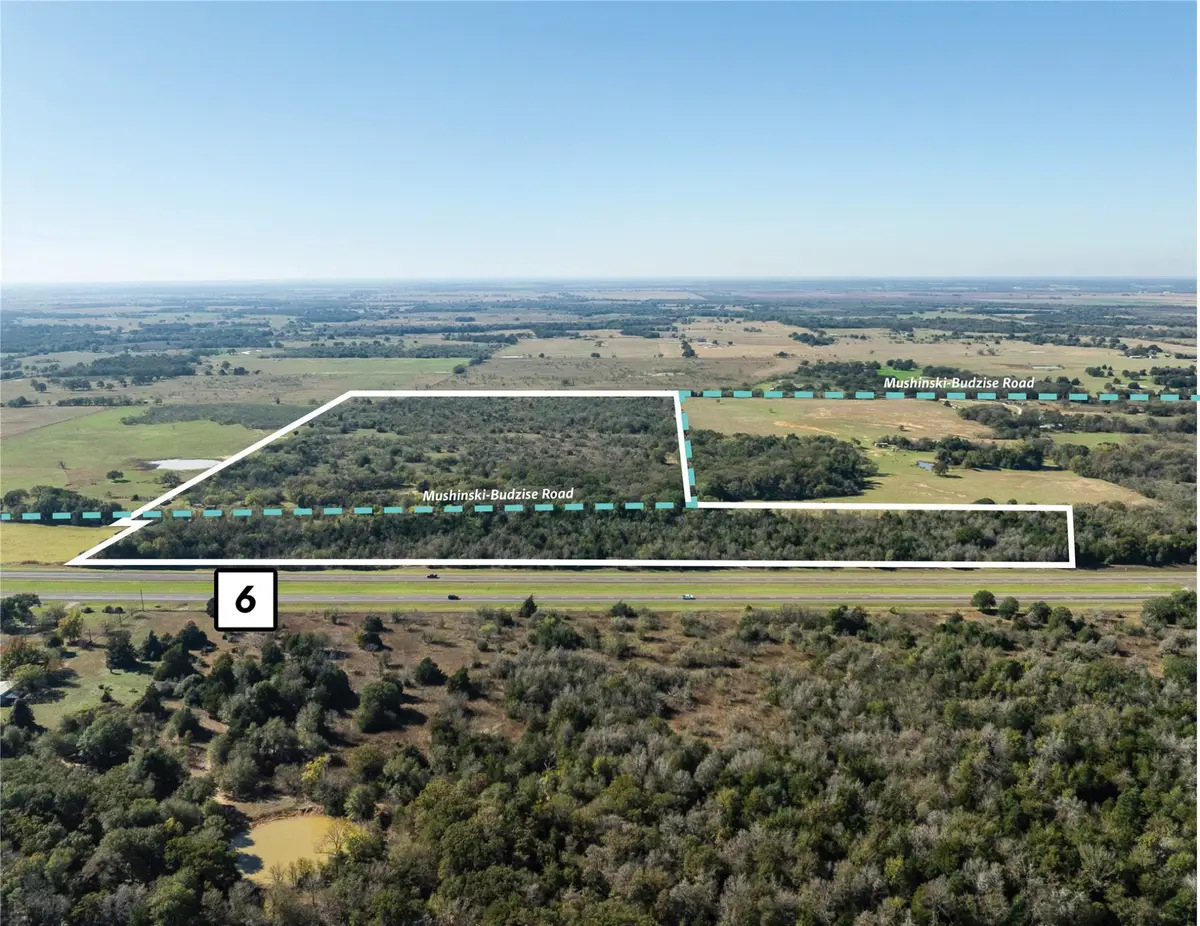 000 Mushinski-budzise Road, Bremond, TX 76629 - Image #1