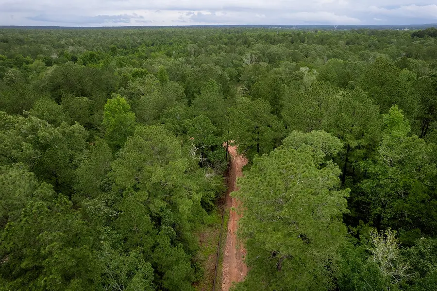 TBD Saratoga Woods Drive, Montgomery, TX 77316 - #3