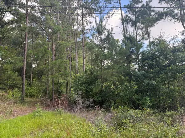 3555 Hickock Lane, Willis, TX 77378