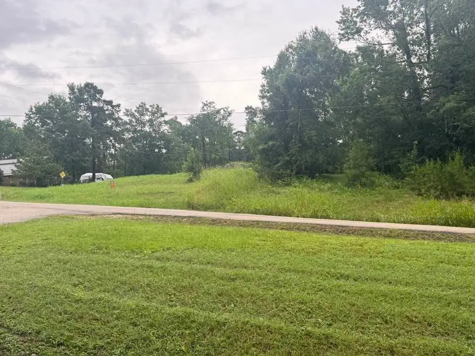 TBD Holiday Boulevard, Coldspring, TX 77331 - #1