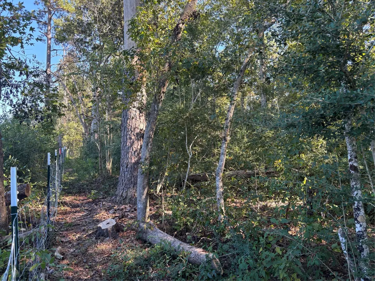 0 L C Herschap Lane, Livingston, TX 77351 - Image #1