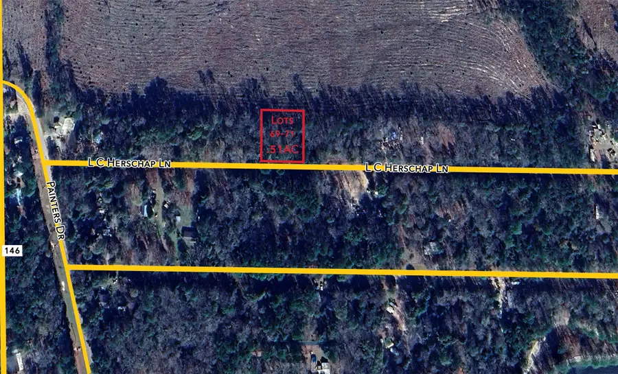 0 L C Herschap Lane, Livingston, TX 77351 - Image #3
