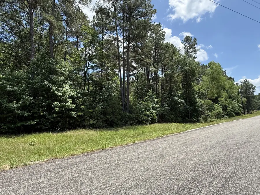 3A-7-5 Grand View, Huntsville, TX 77340 - #3