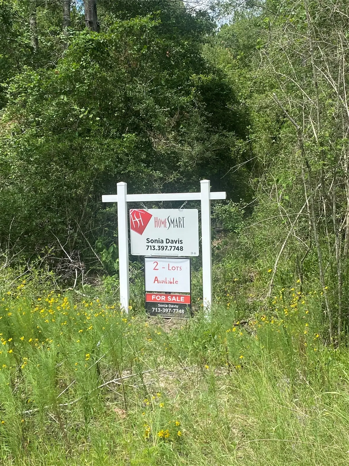 67 Coyote Run, Willis, TX 77378 - #1